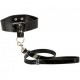 Bound By Diamond Leash And Collar Set