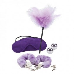 Berman Shades Of Purple Playroom Kit