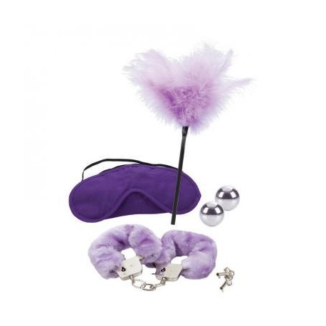 Berman Shades Of Purple Playroom Kit